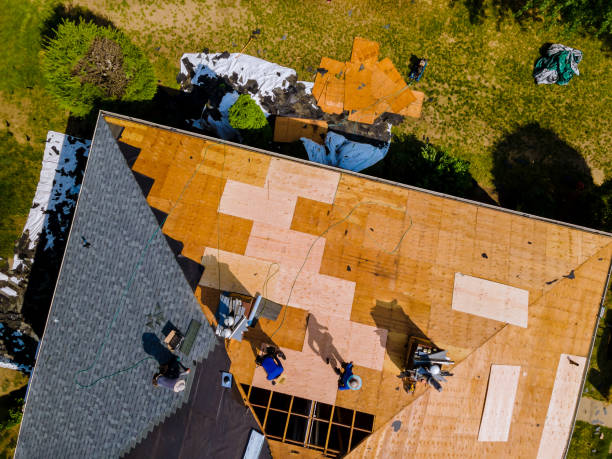 Quick and Trustworthy Emergency Roof Repair Services in Bellview, FL